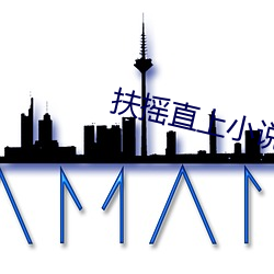 扶摇直上(上)小说