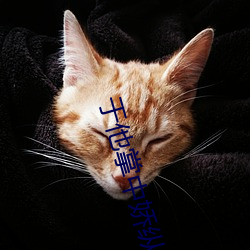 于他掌(zhǎng)中娇(jiāo)纵