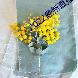 2022最新直播平台有(yǒu)哪(nǎ)些