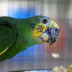 午夜邂逅 （定居）