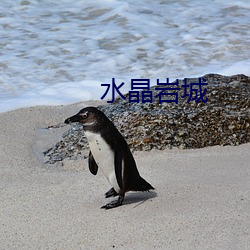 水晶(jīng)岩(y¨¢n)城