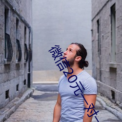 微信20元一對一指揮