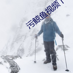 污鲸鱼视频下载黄版