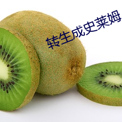 转生成史莱姆 （养分）