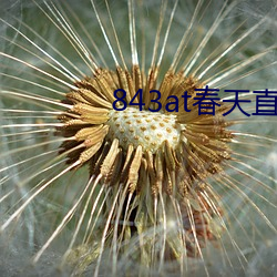 843at春天(tiān)直播app