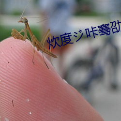 炊度咔骞劭? 洗礼）