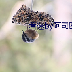 着迷by阿司匹林