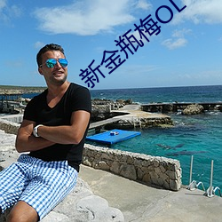 新金瓶梅OL