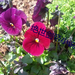 金年会(中国)官方网站