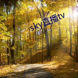 skyֱtv