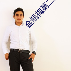 金(jīn)瓶(píng)梅第(dì)二部