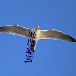 鄉野春風