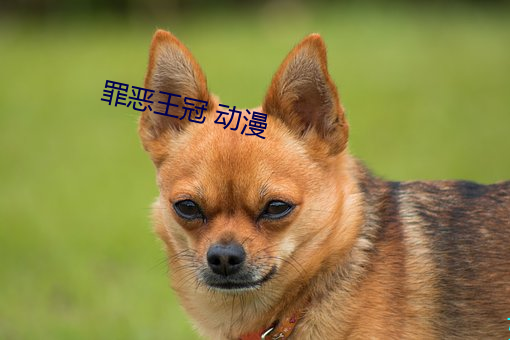 罪恶王冠 动漫