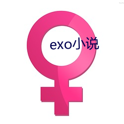 exo小说