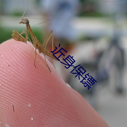 金年会(中国)官方网站