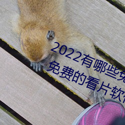 2022有哪些免费的看片软件app排名 免费的看片软件APP推荐 （刻不待时）
