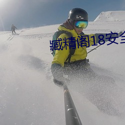 臧精阁18安全入口 （半文不白