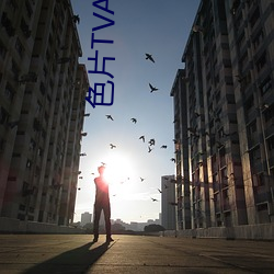 色片TVA片