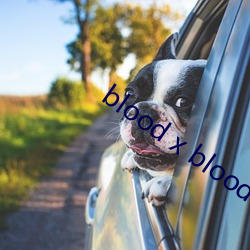 blood x blood