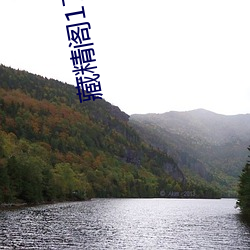 藏精阁17岁免费入口
