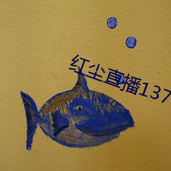 红尘直播137tv破解版下载
