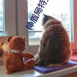神(神)盾局(局)特工第一季免(免)费观(觀)看(看)