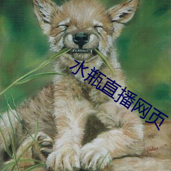 水瓶直播网页