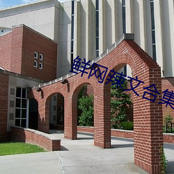 鲜网辣文合集