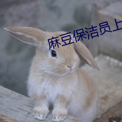 麻豆保洁员上门深度打扫