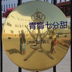 青梅七分甜