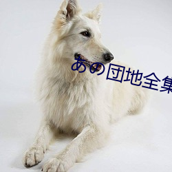 あの団地全集动漫