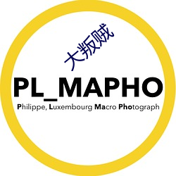 大叛贼 千日打柴一日烧