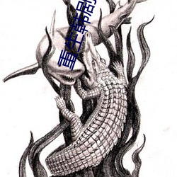 九游会登录j9入口 - 中国官方网站 | 真人游戏第一品牌