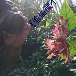 ��偷偷藏不住��段嘉許圖片