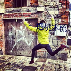 一把(bǎ)桃(táo)木(mù)梳