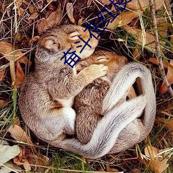 米乐M6·(中国)官方网站