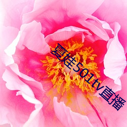 918博天堂·(中国)手机版客户端