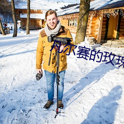 凡尔赛的玫瑰