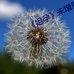 凯时国际·(中国)娱乐官方网站