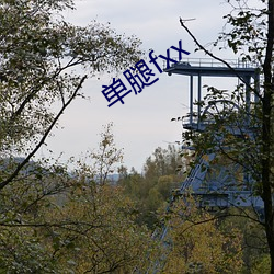 单腿(tuǐ)fxx