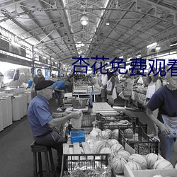 金年会(中国)官方网站