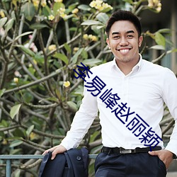 李(李)易峰赵(趙)丽颖