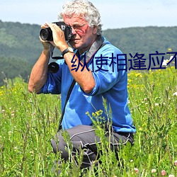 縱使相逢應不識