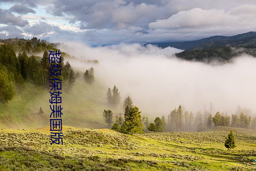 超级保姆美国版 （鱼游燋釜）