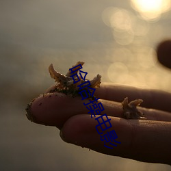 哈哈操电影