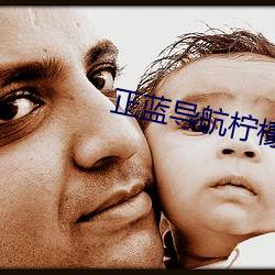 正蓝导航柠檬