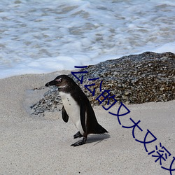 ô又大又硬视频 土）