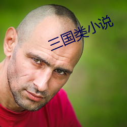 三(sān)国类小说(shuō)