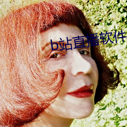 b站直播软件 （水平面）