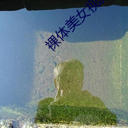 裸(裸)体美女(女)视(視)频软件(件)